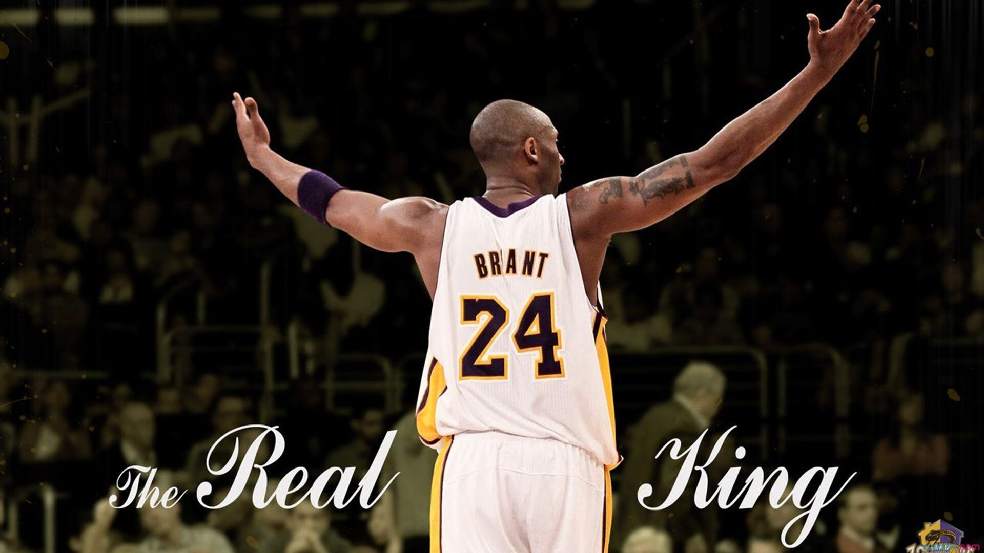 星光下的射击比赛：闪耀夜空的运动盛典